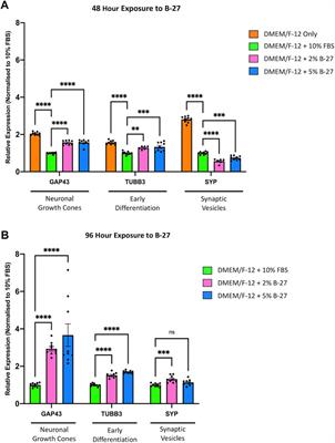 A novel method for generating glutamatergic SH-SY5Y neuron-like cells utilizing B-27 supplement